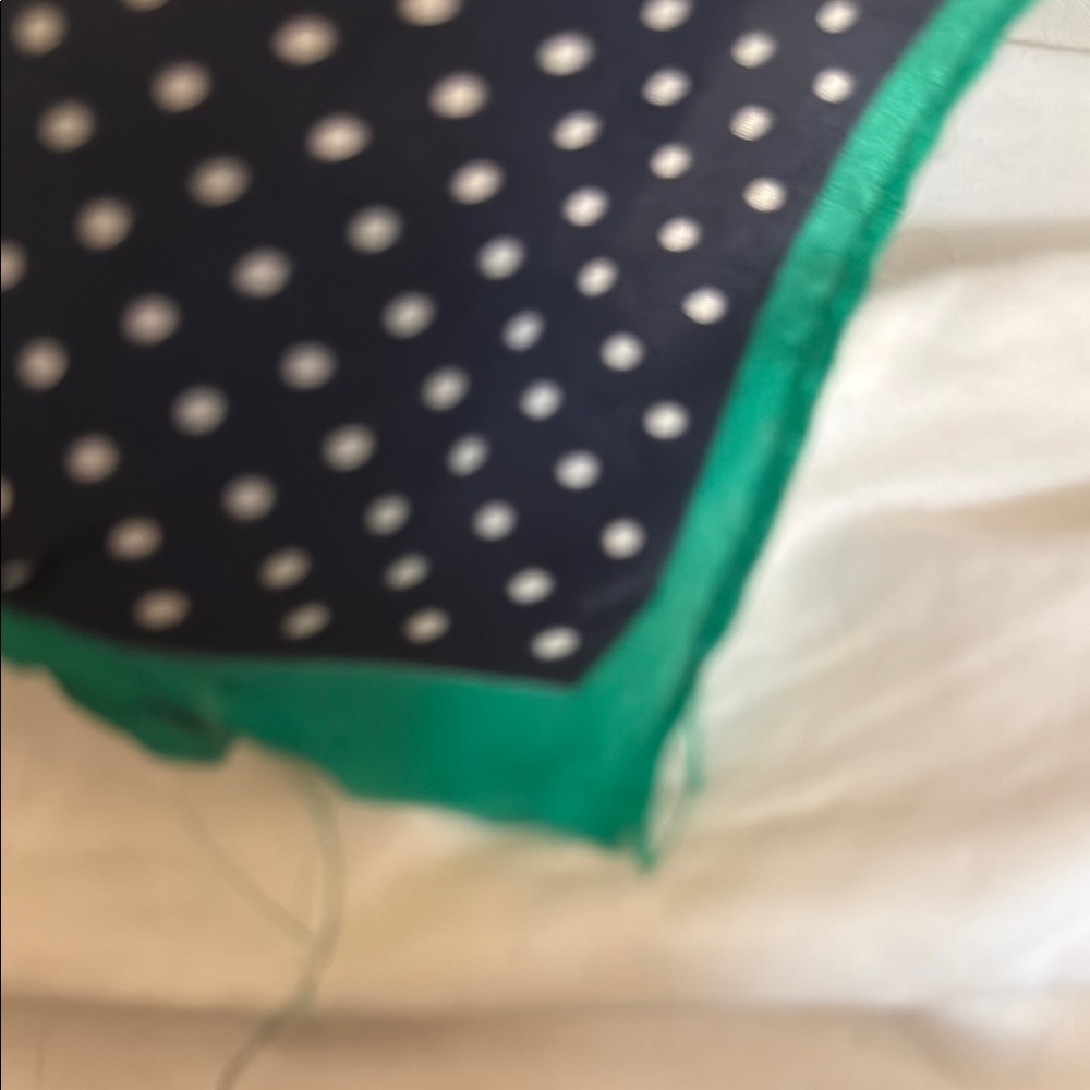 Polka Dot and Stripe Scarf with Green Trim - Picture 5 of 5